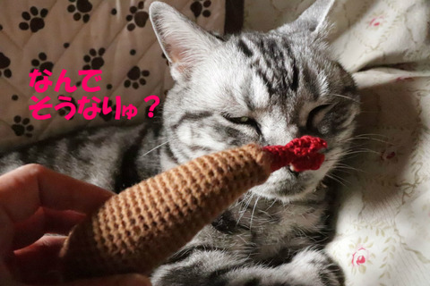 いりましぇんとも。