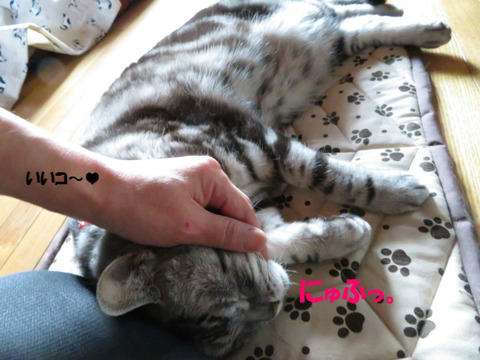 待ってまちたとも~♪