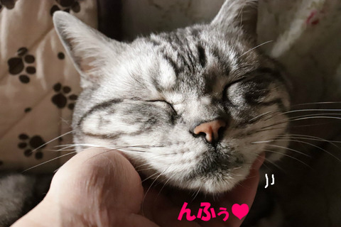 きもちういでしゅとも~。