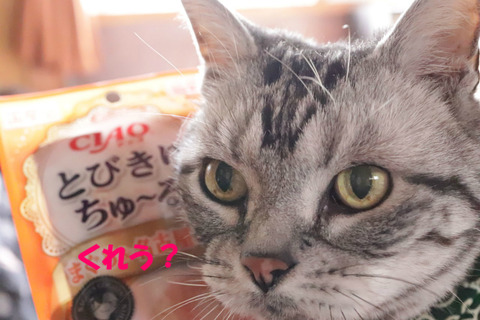 食べたいでしゅとも。
