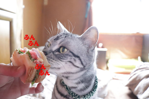 わ~ぃ・・・あえ?