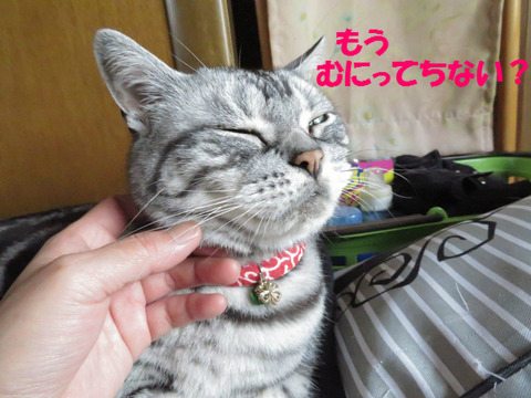 おいら、えらい?