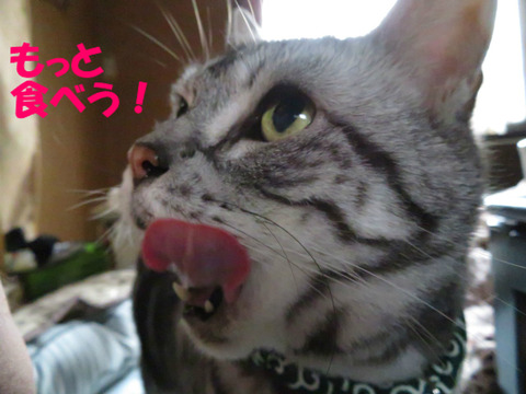 ねっ?