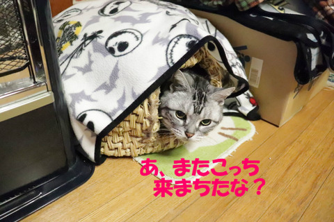 !