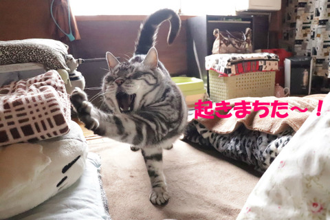 ん~っ。