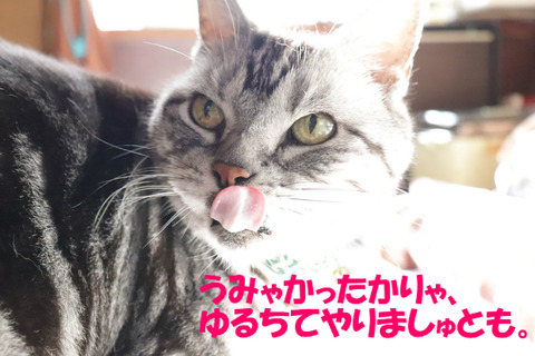 もっとくりぇてもいいでしゅじょ?