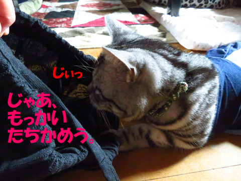 うぅむ。