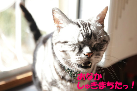 お帰り~!