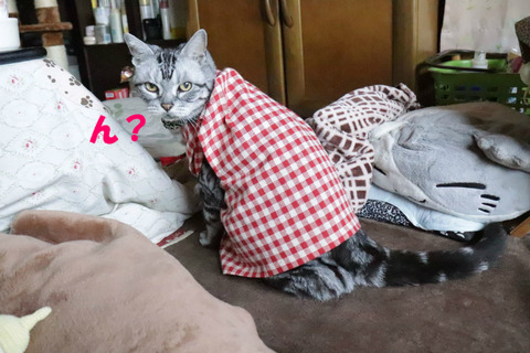 なに?