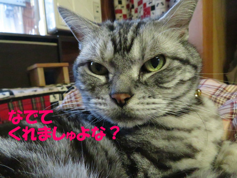 ね?