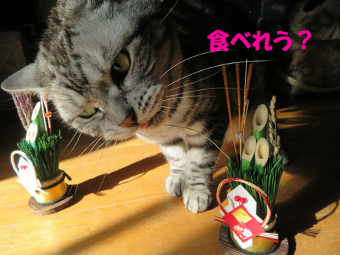 なんだ、なんだ?