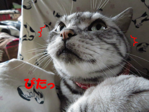 !?