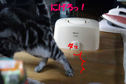 とぅっ!