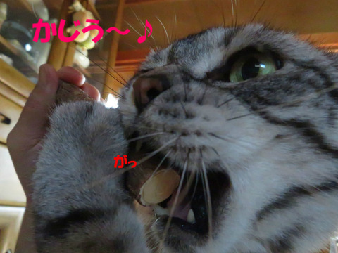 BlogPaint