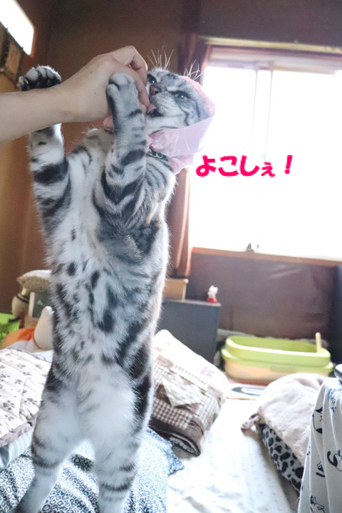 とうっ!