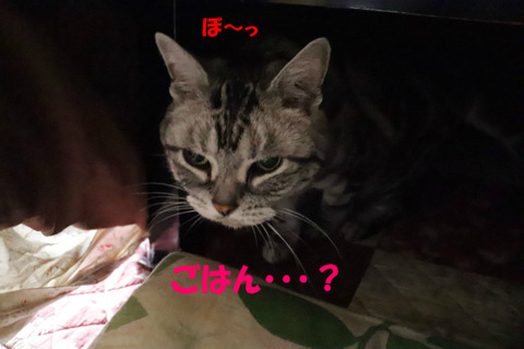 んあ?