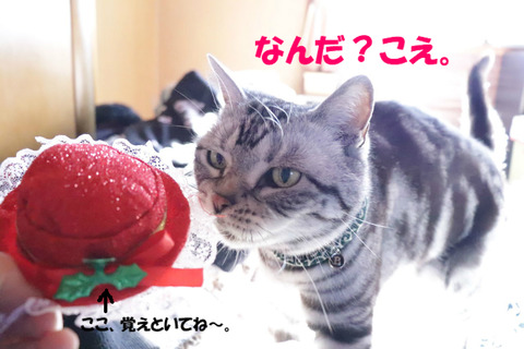 !?