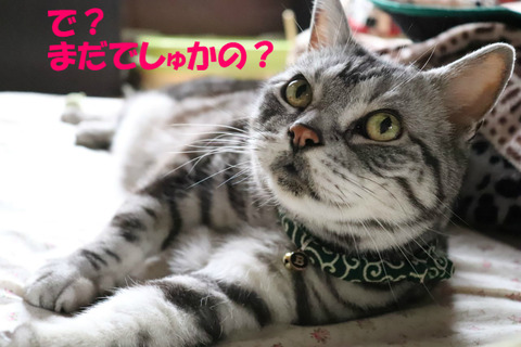 ごはんは~?
