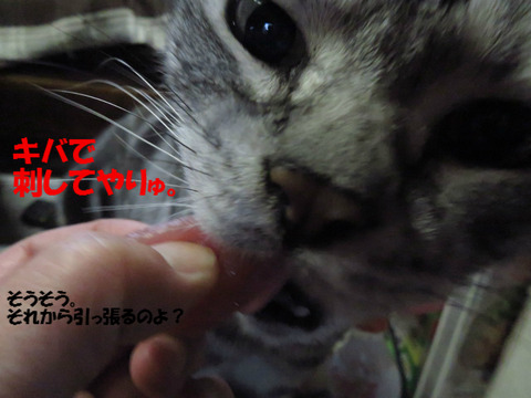 じゃあ、こうだっ!