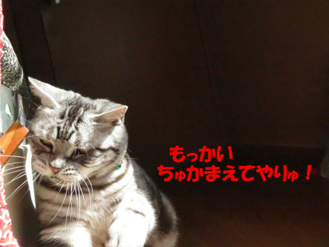 さぁ、こいやぁ!