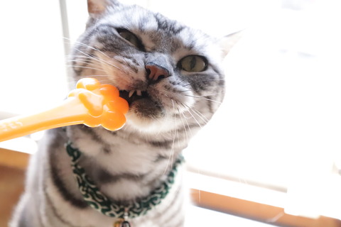 じぇんぶ、おいらの!