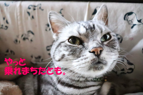 うほぅ♪