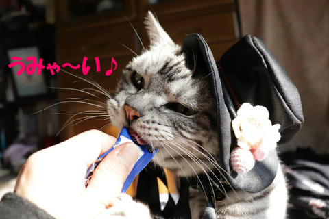 液ちゅる~♪