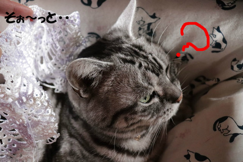 ?