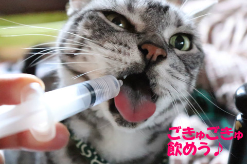 おみじゅ~!