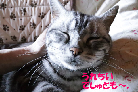 きもちうい~♥