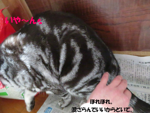 ぐいってしうな~っ。