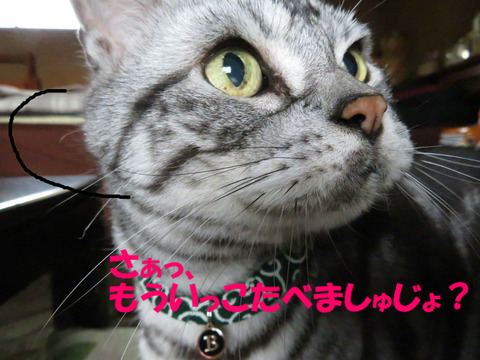 はやくっ。