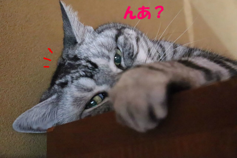 なに?