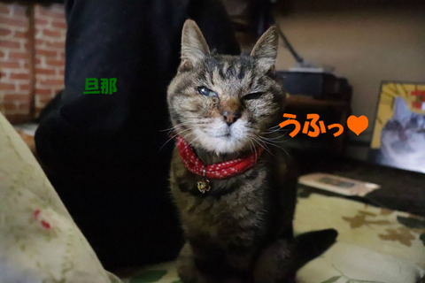 ダーリンの横はあちしのものよ!