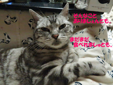 待ってうだけでしゅとも。
