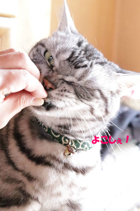 さっさと手ぇ離しぇ!