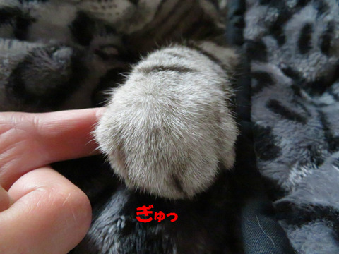 もお、いい?
