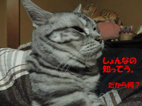 おやつでもくれうのか?