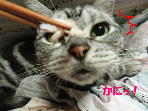 ふおっ!