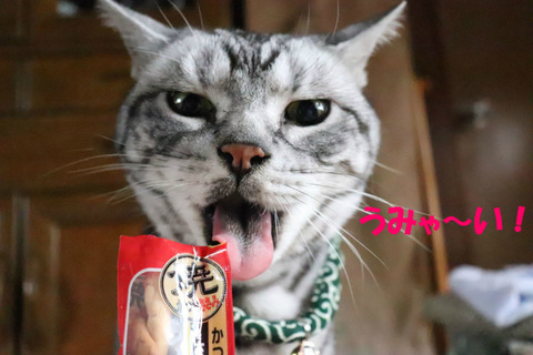もっと~♥