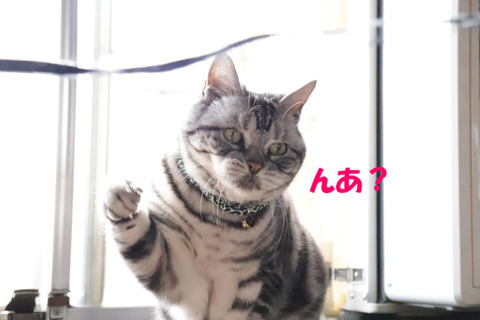 ん?