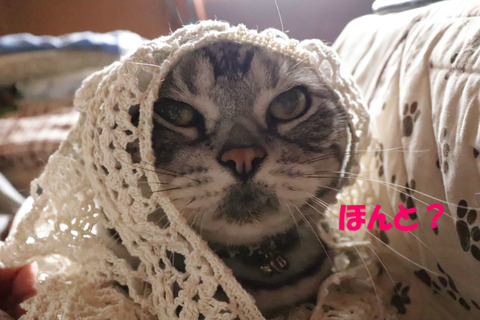 ☆キラーン