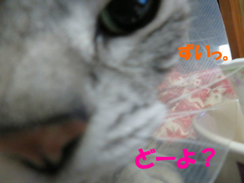 ふふんっ!