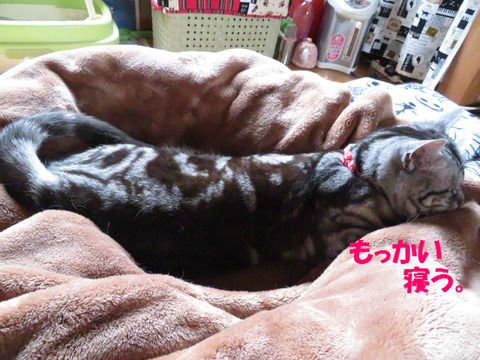 あちい。