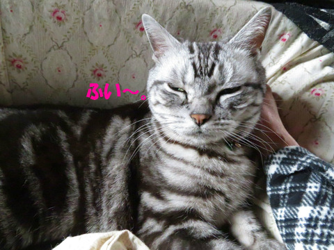 よいちょ。