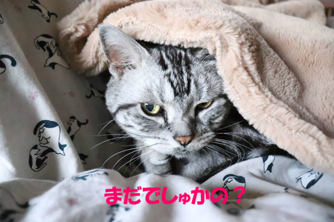 おいら、待ってうのに。