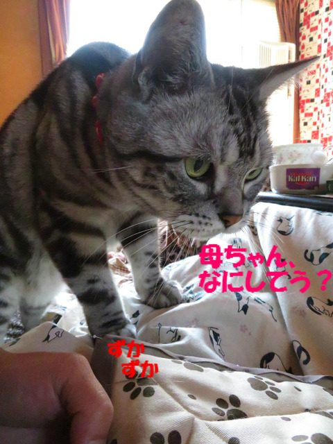 そえ、何~?