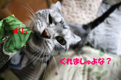 ね?