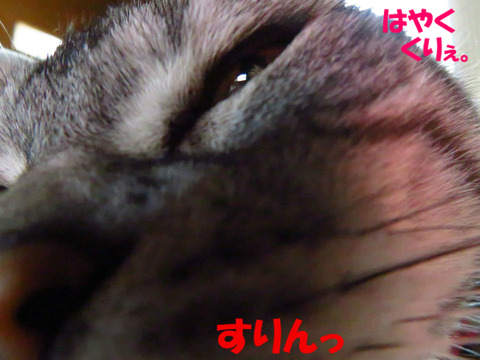 ね?