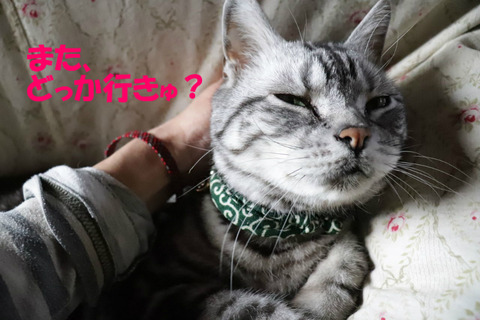 いつも行っちゃいましゅよな?